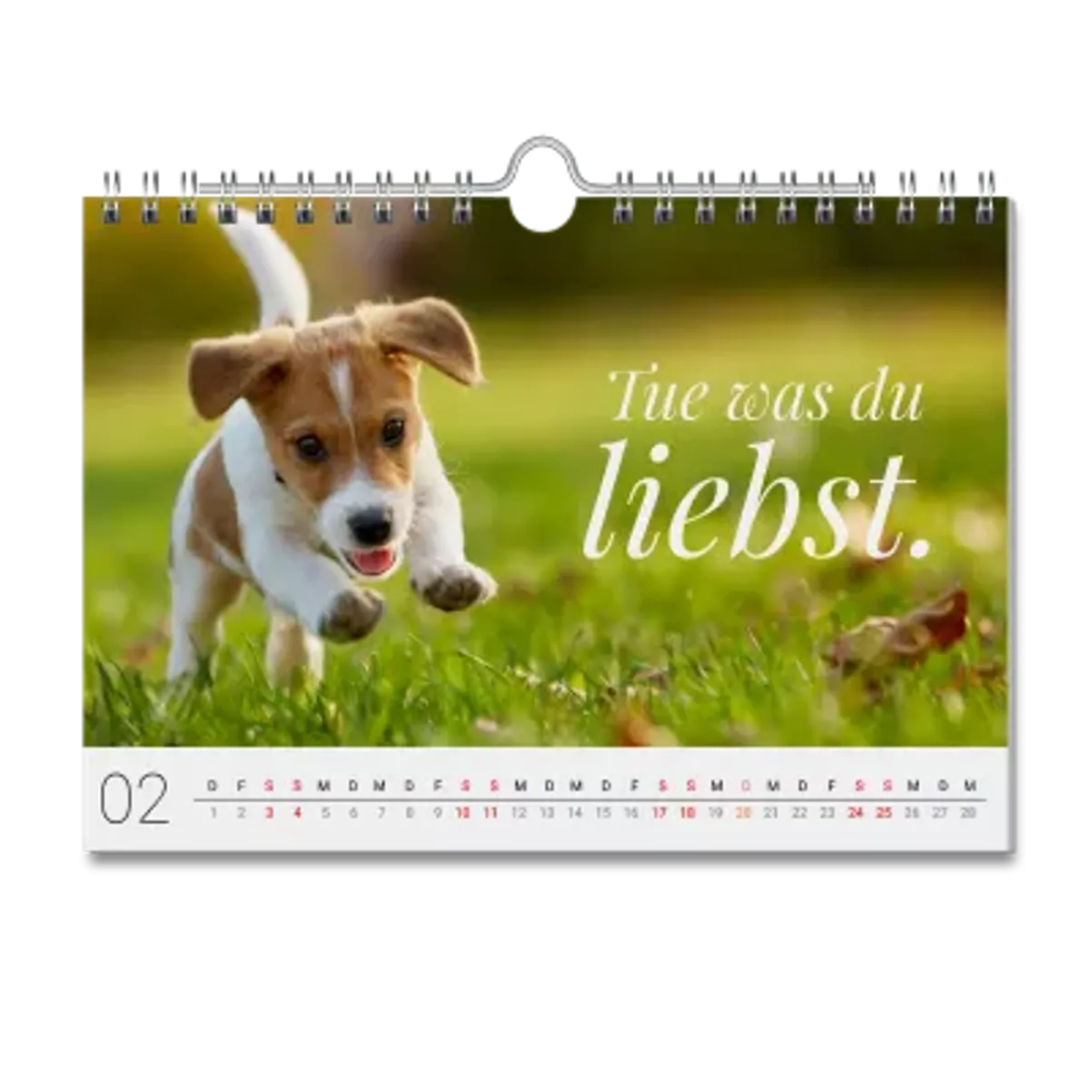all_calendars-40121300
