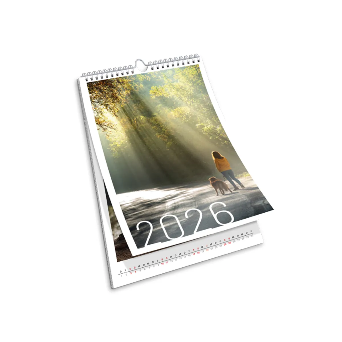 calendar_wall_A4-hoch_aufgefaechert_800x800