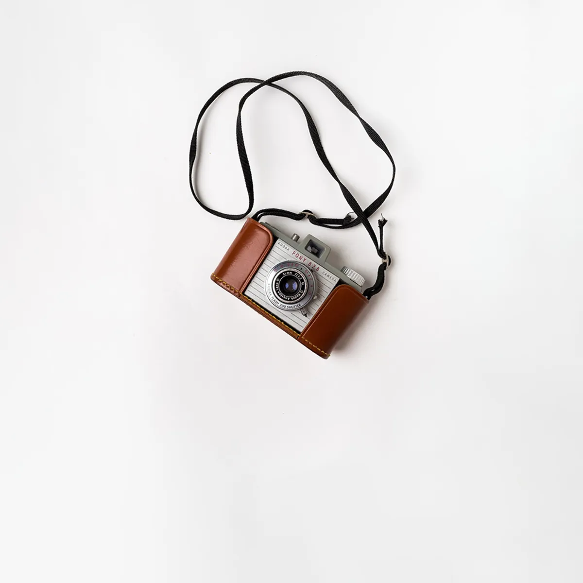 preview camera large